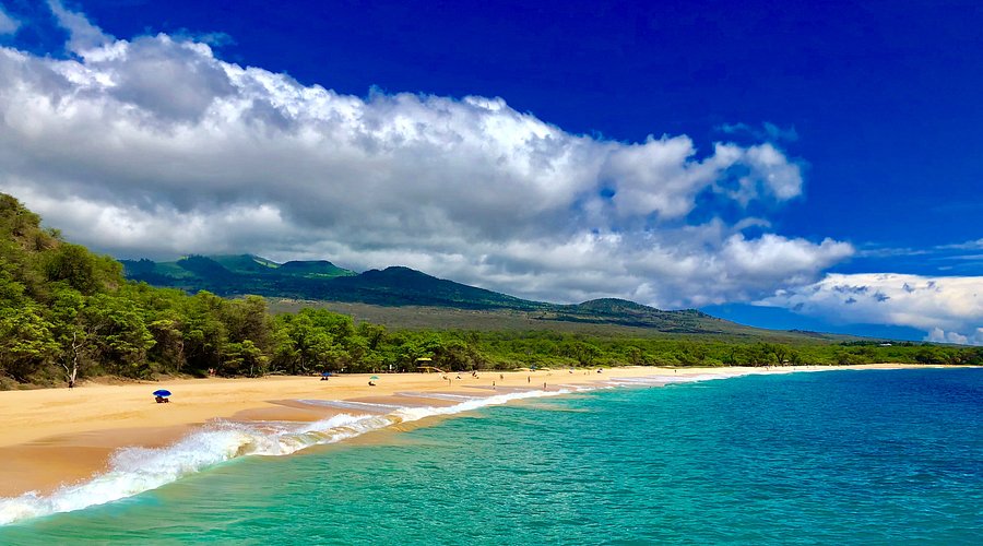 Beach Getaway