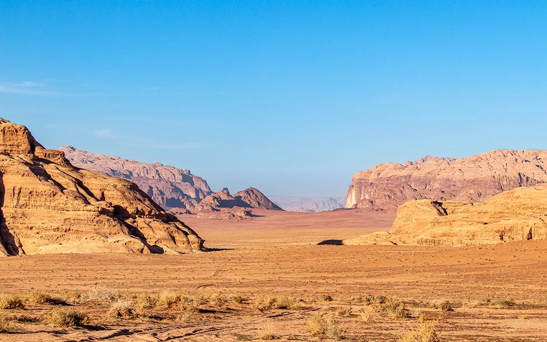Desert Experience