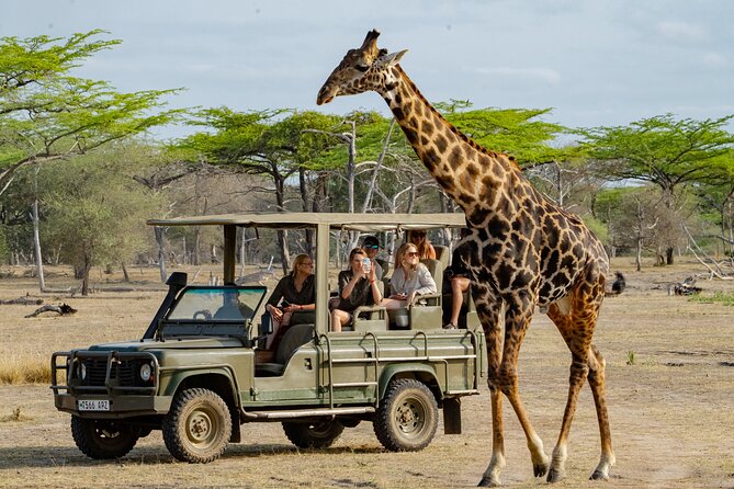 Wildlife Safari